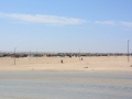 Namibia-19