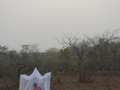 Nigeria-3