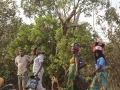 Nigeria-364