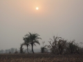 Nigeria-379