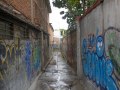 DSC6082