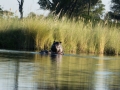 Okavango-125