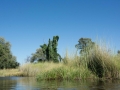 Okavango-4
