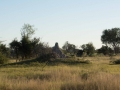 Okavango-45