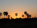 Okavango-55