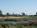 Okavango-70