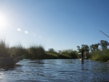 Okavango-75