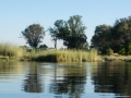 Okavango-97