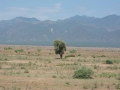Ethiopia-146