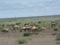 On the road-26