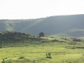 On the road-6
