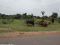 Zambia-on-the-road-12