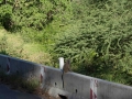 Tanzania road-41