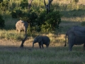 Tanzania road-47