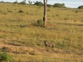 Tanzania road-49