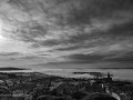 DSC_0605
