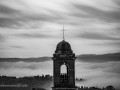 DSC_4439