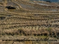 Guilin (70 of 8)