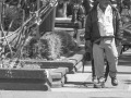 DSC8854