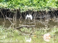 River Safari (35 of 72)