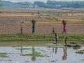 Road-to-Dhaka-2-19