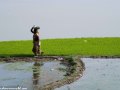 Road-to-Dhaka-2-23