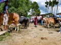 DSC8661