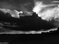 DSC8720