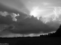 DSC8725