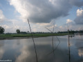 DSC8746