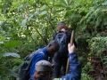 rwanda-108