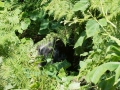 rwanda-110