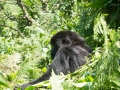 rwanda-142