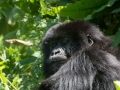 rwanda-146