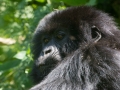 rwanda-156