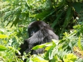 rwanda-158