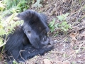 rwanda-164