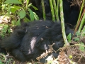 rwanda-168
