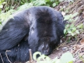 rwanda-184