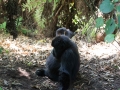 rwanda-217