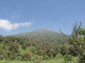 rwanda-96