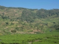 rwanda-5
