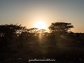 Samburu-33