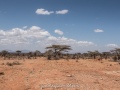 Samburu-36