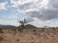 Samburu-37