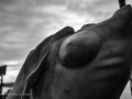 DSC_0342