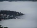 DSC_4342
