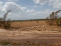 DSC1352