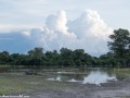 South-Luangwa-4-2-41-10