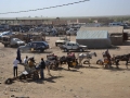 senegal-9